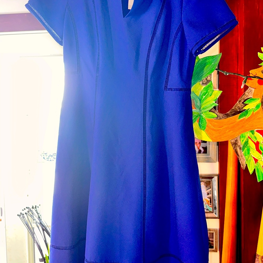 Brand New Banana Republic Dress